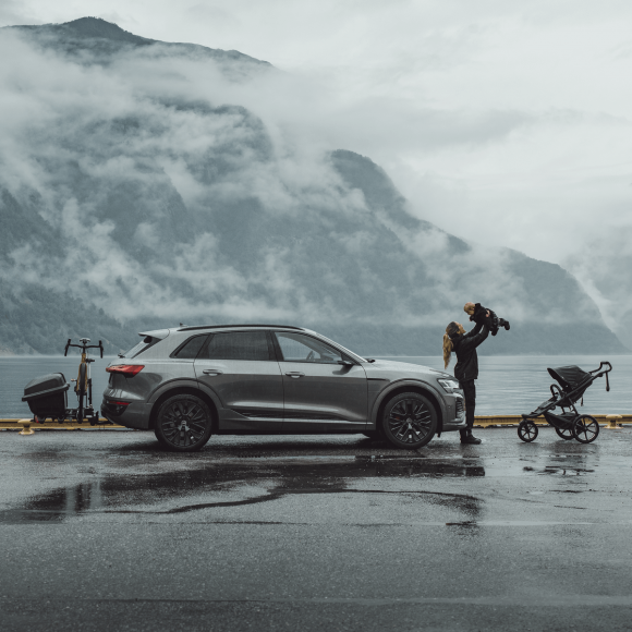 Автомобильный бокс на фаркоп Thule Santu для EasyFold 3 Автомобильный бокс на фаркоп Thule Santu для EasyFold 3
